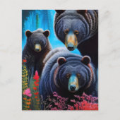 Bärenkollektion Postkarte (Vorderseite)