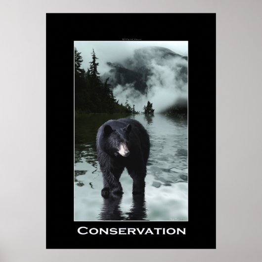 Bärenkonservierung Wildlife Poster (Vorne)