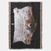 Bärenkopf Hautfellbild Decke (Vorderseite Vertikal)