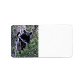 Bärenkuppe Adressaufkleber (Vorne)