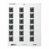 Bärenkuppe Adressaufkleber (Vorne)