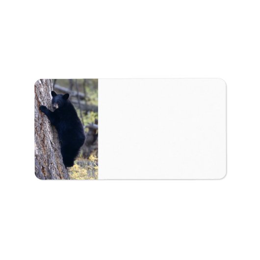 Bärenkuppe Adressaufkleber (Vorne)