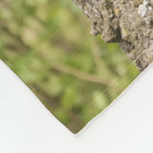 Bärenkuppe im Baum Fleecedecke (Ecke)