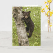 Bärenkuppe im Baum Karte (Gelbe Blume)