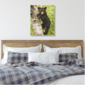 Bärenkuppe im Baum Leinwanddruck (Insitu (Schlafzimmer))