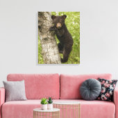 Bärenkuppe im Baum Leinwanddruck (Insitu (Wohnzimmer))