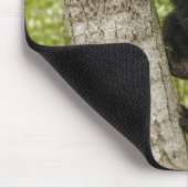 Bärenkuppe im Baum Mousepad (Ecke)