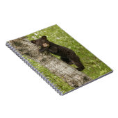 Bärenkuppe im Baum Notizblock (Rechte Seite)