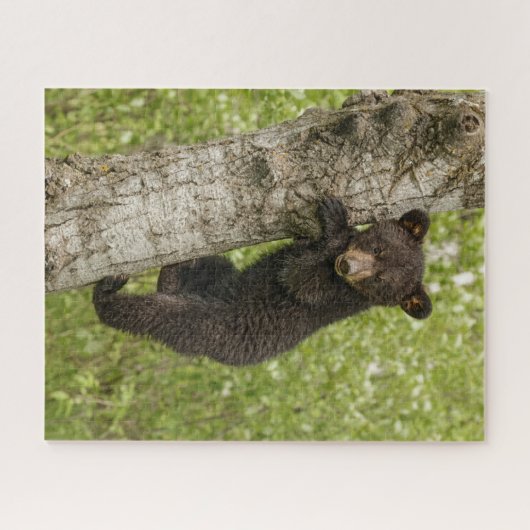 Bärenkuppe im Baum Puzzle (Horizontal)