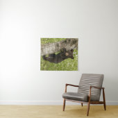 Bärenkuppe im Baum Wandteppich (Beispiel (Horizontal))