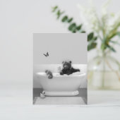 Bärenkuppe in der Badewanne Postkarte (Stehend Vorderseite)