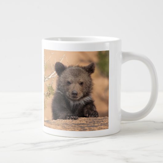 Bärenkuppe Jumbo-Tasse (Rechts)