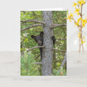 Bärenkuppe Kletterbaum Karte (Gelbe Blume)