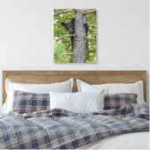 Bärenkuppe Kletterbaum Leinwanddruck (Insitu (Schlafzimmer))