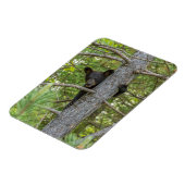 Bärenkuppe Kletterbaum Magnet (Linke Seite)