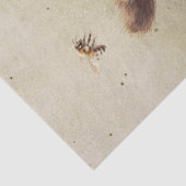 Bärenkuppe mit Honeypot Seidenpapier (Detail)