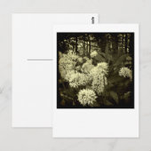 Bärenlauch. Postkarte (Vorne/Hinten)