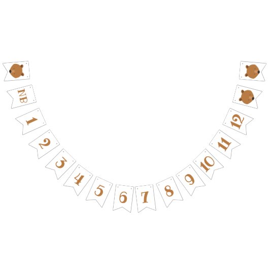 Bärenmonate Erster Geburtstag Wimpelkette (Alle)