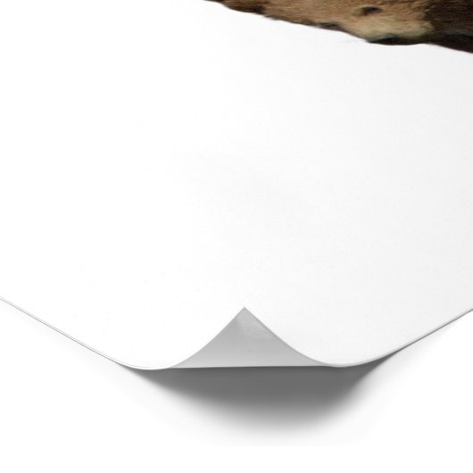 Bärenmutter Baby Cub Doppelexposition Poster (Ecke)