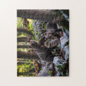 Bärenmutter und Jungtier Slowenien Puzzle (Vertikal)