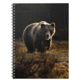 BärenNotebook Notizblock (Vorderseite)