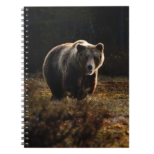 BärenNotebook Notizblock (Vorderseite)