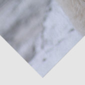 Bärenpapier Seidenpapier (Detail)