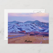 Bärenpfau Postkarte (Vorne/Hinten)