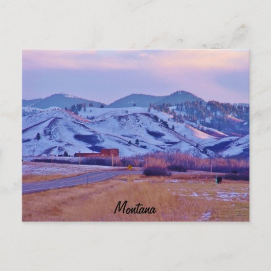 Bärenpfau Postkarte (Vorderseite)