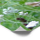 Bärenposter Poster (Ecke)