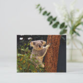 Bärenpostkarte Postkarte (Stehend Vorderseite)