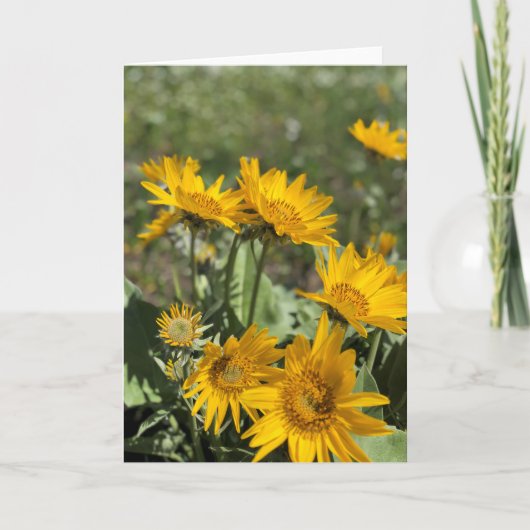 Bärenpranke-Berge Karte (Vorderseite)