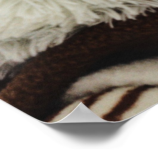 Bärenprint Poster (Ecke)