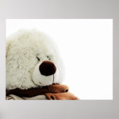 Bärenprint Poster (Vorne)