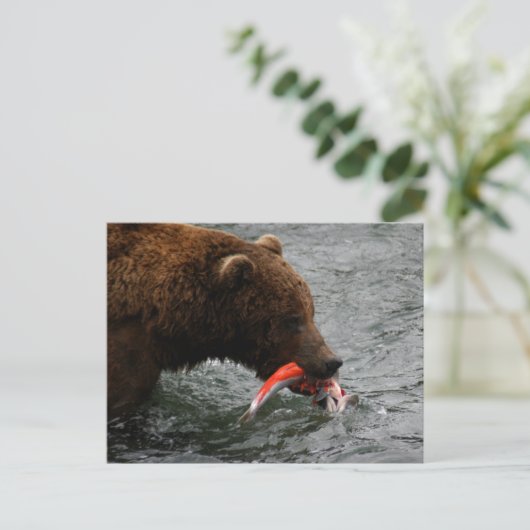 Bärenschlossenheit, Brooks Falls Alaska Postkarte (Stehend Vorderseite)