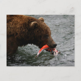 Bärenschlossenheit, Brooks Falls Alaska Postkarte