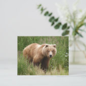 Bärenschlossenheit, Brooks Falls Alaska Postkarte (Stehend Vorderseite)