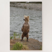 Bärenschlossenheit, Brooks Falls Alaska