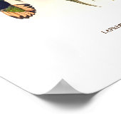 Bärenschwanz-Samt-Brust Poster (Ecke)