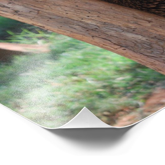 Bärenscratching Fotodruck (Ecke)