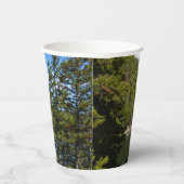 Bärensee im Rocky Mountain Nationalpark Pappbecher (Rechts)