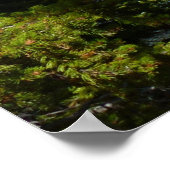 Bärensee im Rocky Mountain Nationalpark Poster (Ecke)