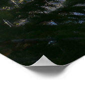 Bärensee-Reflektion III Poster (Ecke)