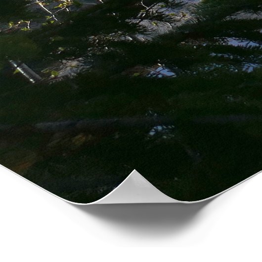 Bärensee-Reflektion III Poster (Ecke)