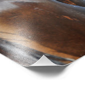 Bärensighting Fotodruck (Ecke)