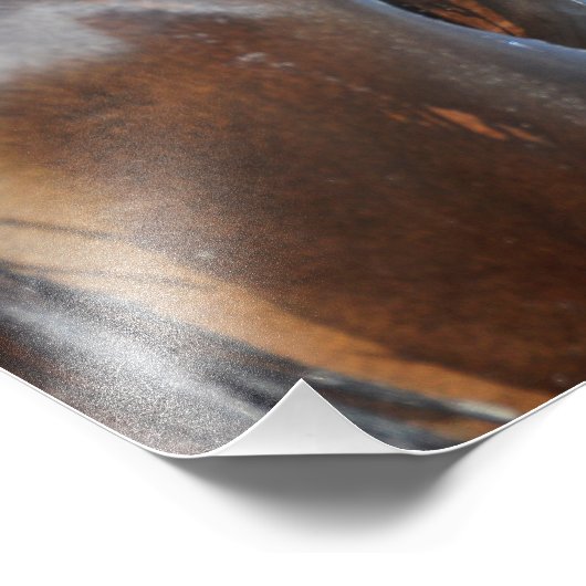 Bärensighting Fotodruck (Ecke)