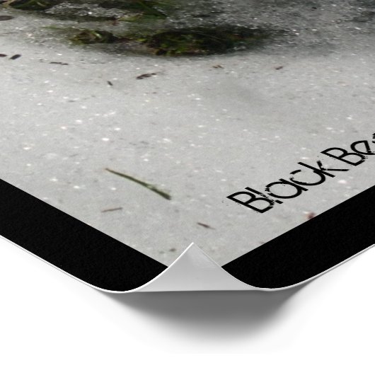 Bärenspulster Poster (Ecke)