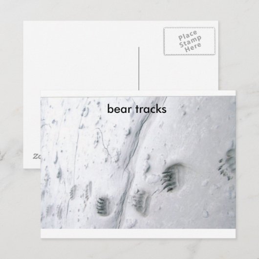 Bärenspuren Postkarte (Vorne/Hinten)