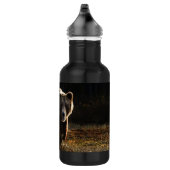 Bärenstahl Wasserflasche aus Stahl (Rechts)