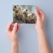 Bärentierspezialisten personalisieren flyer (Gruppe)